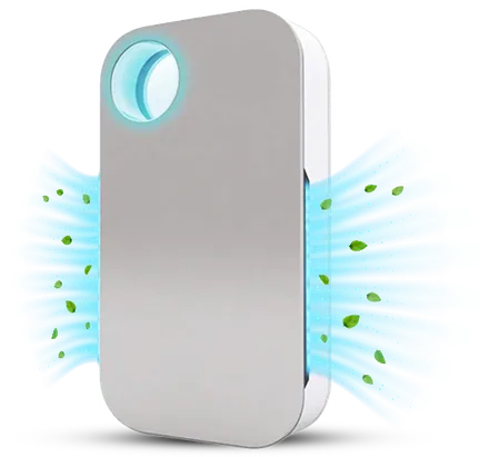 Best 5 Ionizer Air Purifiers 2026